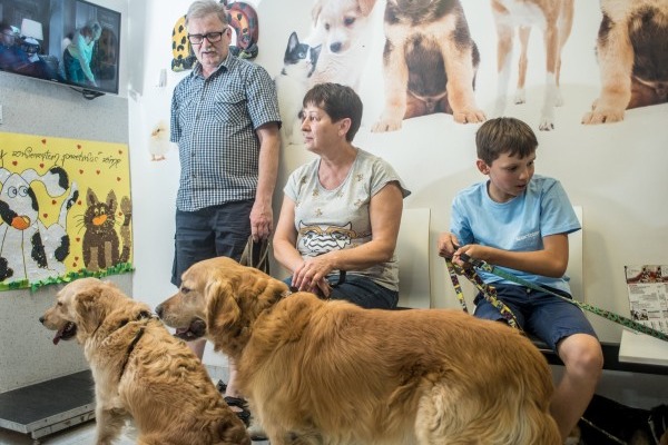 Leczenie i profilaktyka