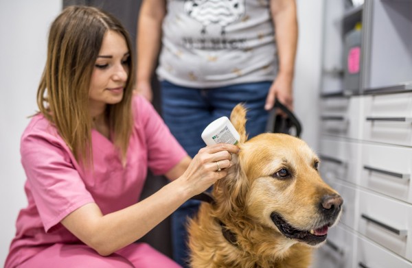 Weronika Pelczyńska 